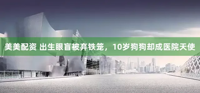 美美配资 出生眼盲被弃铁笼，10岁狗狗却成医院天使
