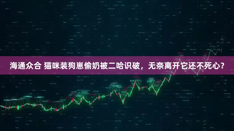 海通众合 猫咪装狗崽偷奶被二哈识破，无奈离开它还不死心？