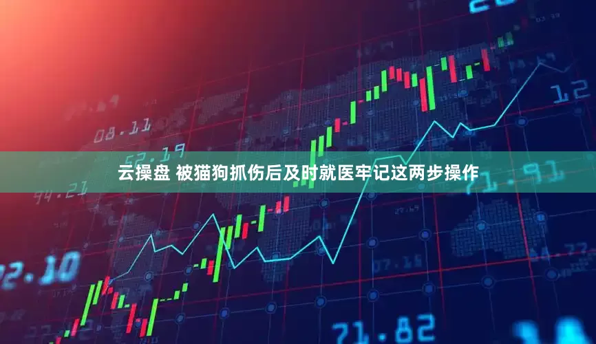 云操盘 被猫狗抓伤后及时就医牢记这两步操作