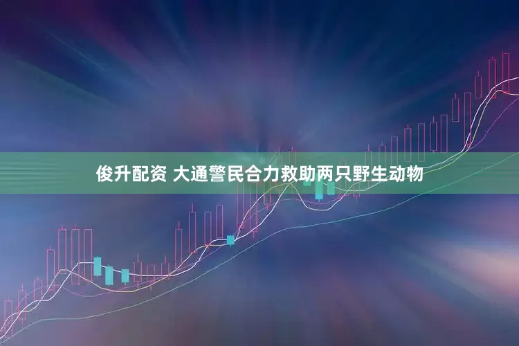 俊升配资 大通警民合力救助两只野生动物