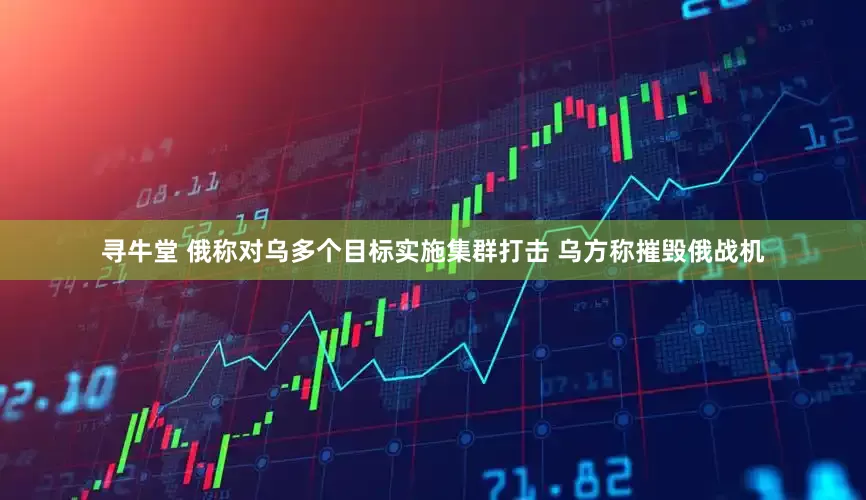 寻牛堂 俄称对乌多个目标实施集群打击 乌方称摧毁俄战机