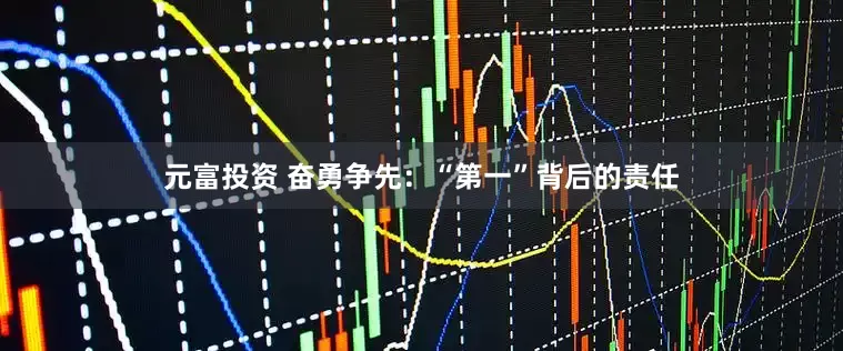 元富投资 奋勇争先：“第一”背后的责任