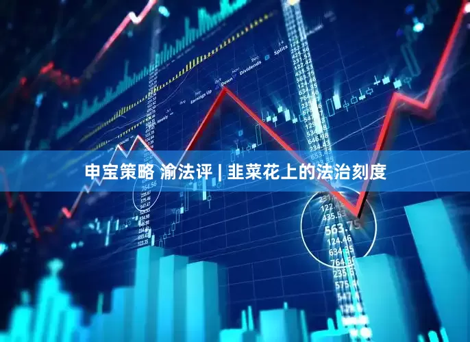 申宝策略 渝法评 | 韭菜花上的法治刻度