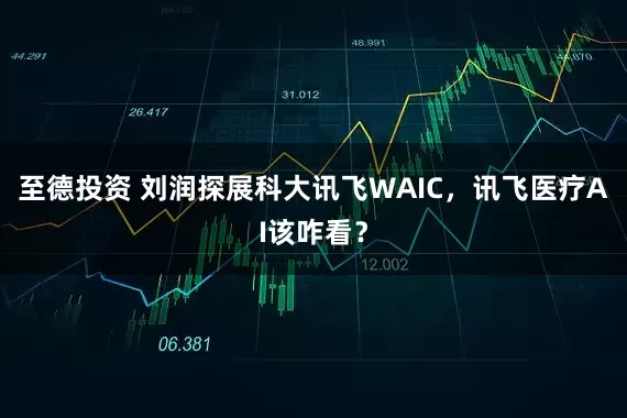 至德投资 刘润探展科大讯飞WAIC，讯飞医疗AI该咋看？