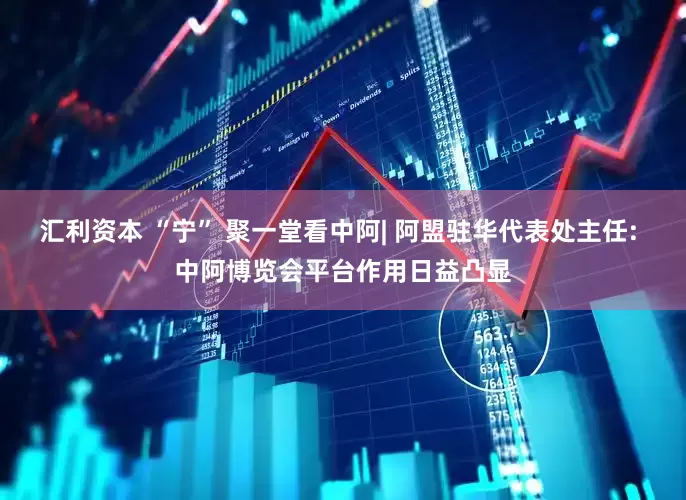 汇利资本 “宁” 聚一堂看中阿| 阿盟驻华代表处主任: 中阿博览会平台作用日益凸显