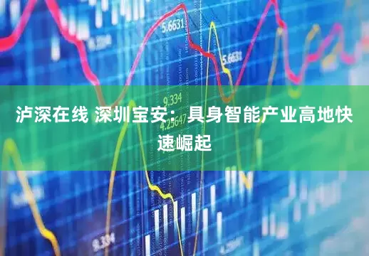 泸深在线 深圳宝安：具身智能产业高地快速崛起
