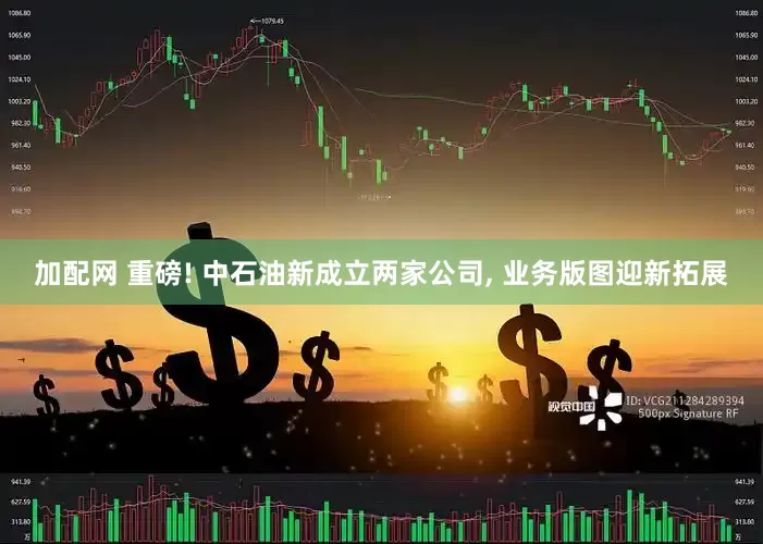 加配网 重磅! 中石油新成立两家公司, 业务版图迎新拓展