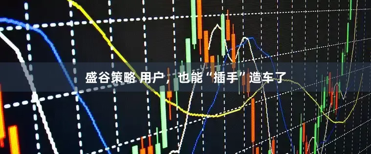 盛谷策略 用户，也能“插手”造车了